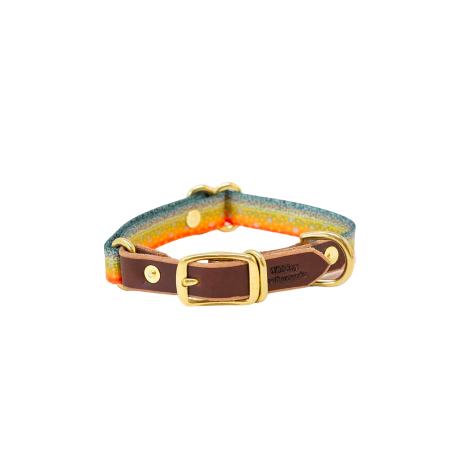 Trout Print Dog Collar